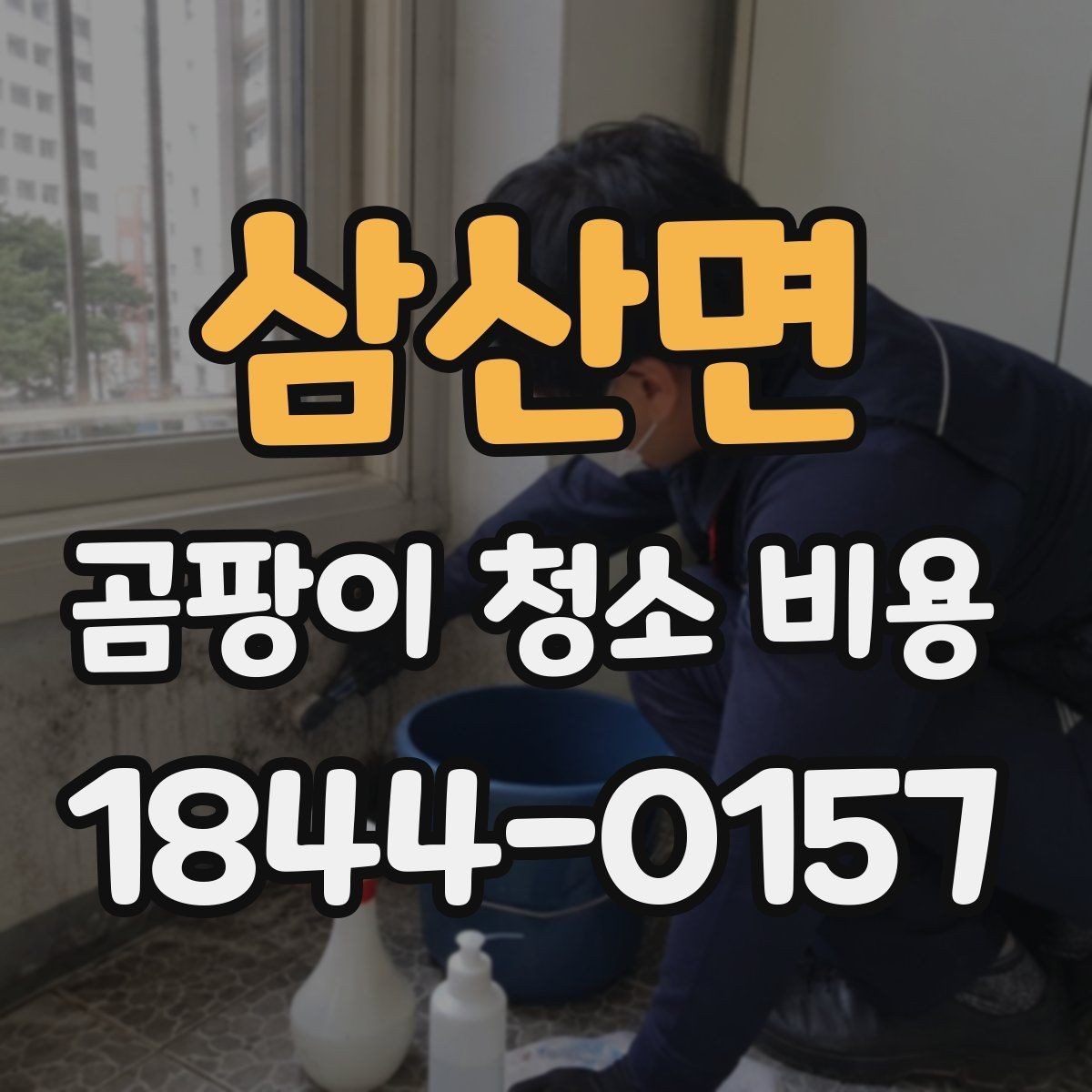 삼산면 곰팡이 청소 비용 방 한 칸 기준으로 달라지는 요소