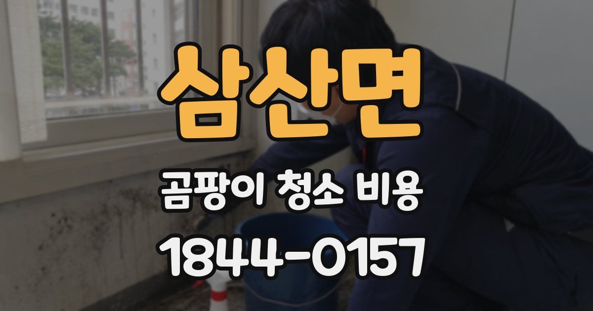 삼산면 곰팡이 청소 비용