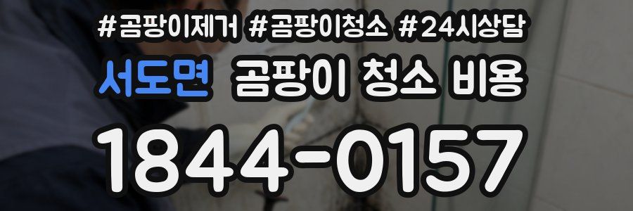 서도면 곰팡이 청소 비용