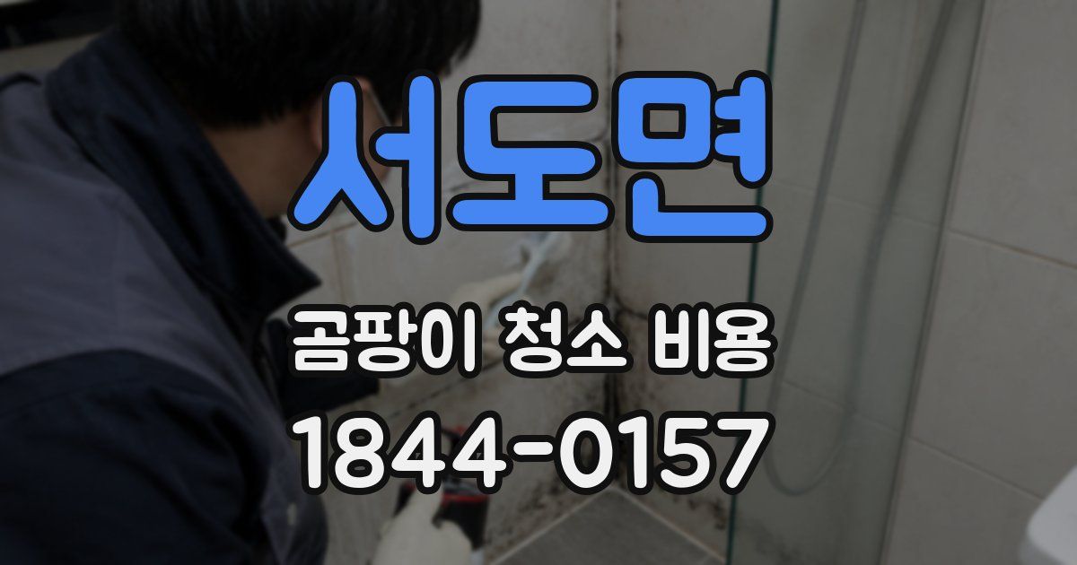 서도면 곰팡이 청소 비용