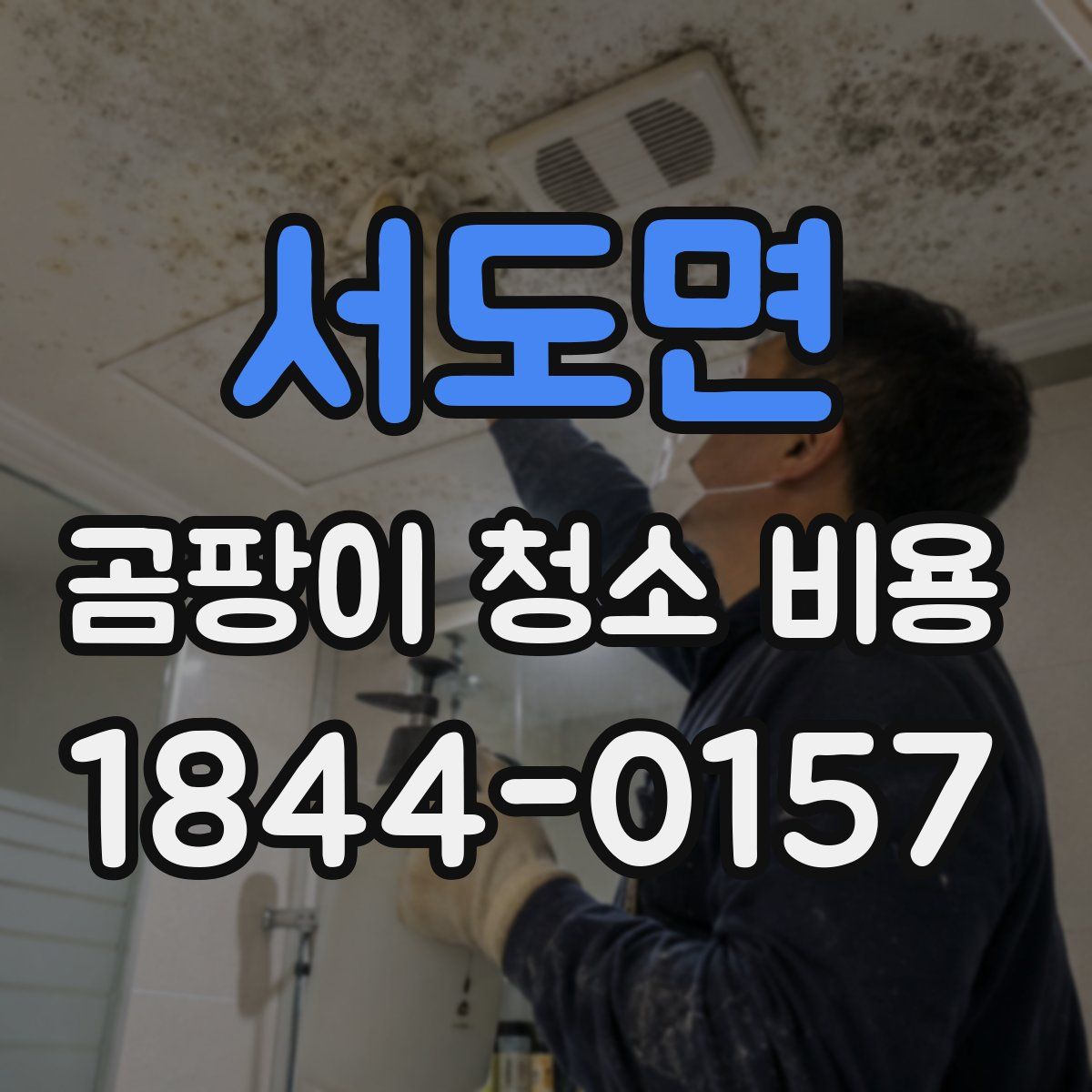 서도면 곰팡이 청소 비용
