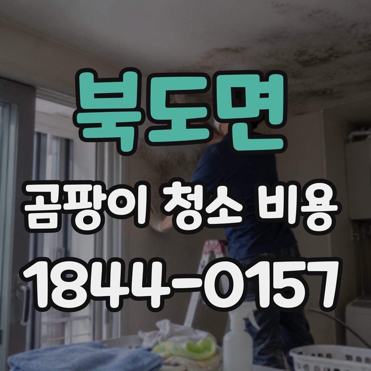 북도면 곰팡이 청소 비용