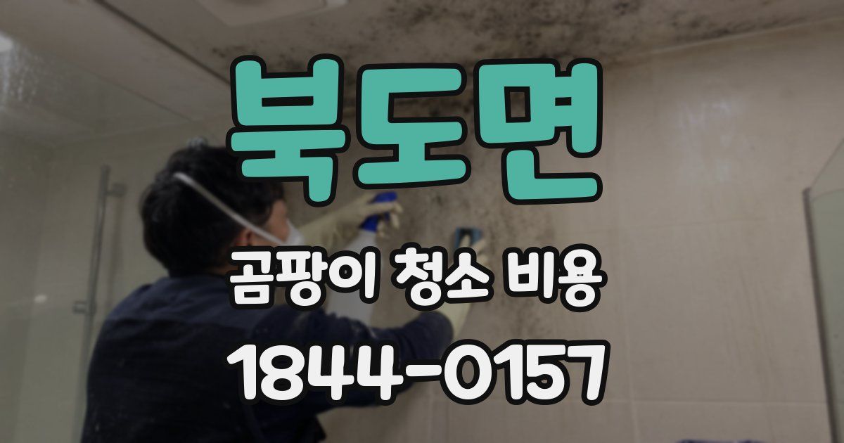북도면 곰팡이 청소 비용
