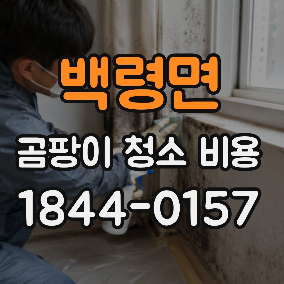 백령면 곰팡이 청소 비용
