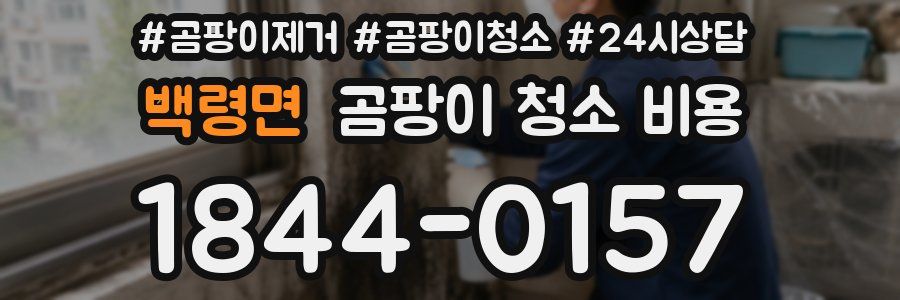 백령면 곰팡이 청소 비용