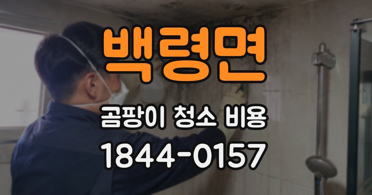 백령면 곰팡이 청소 비용