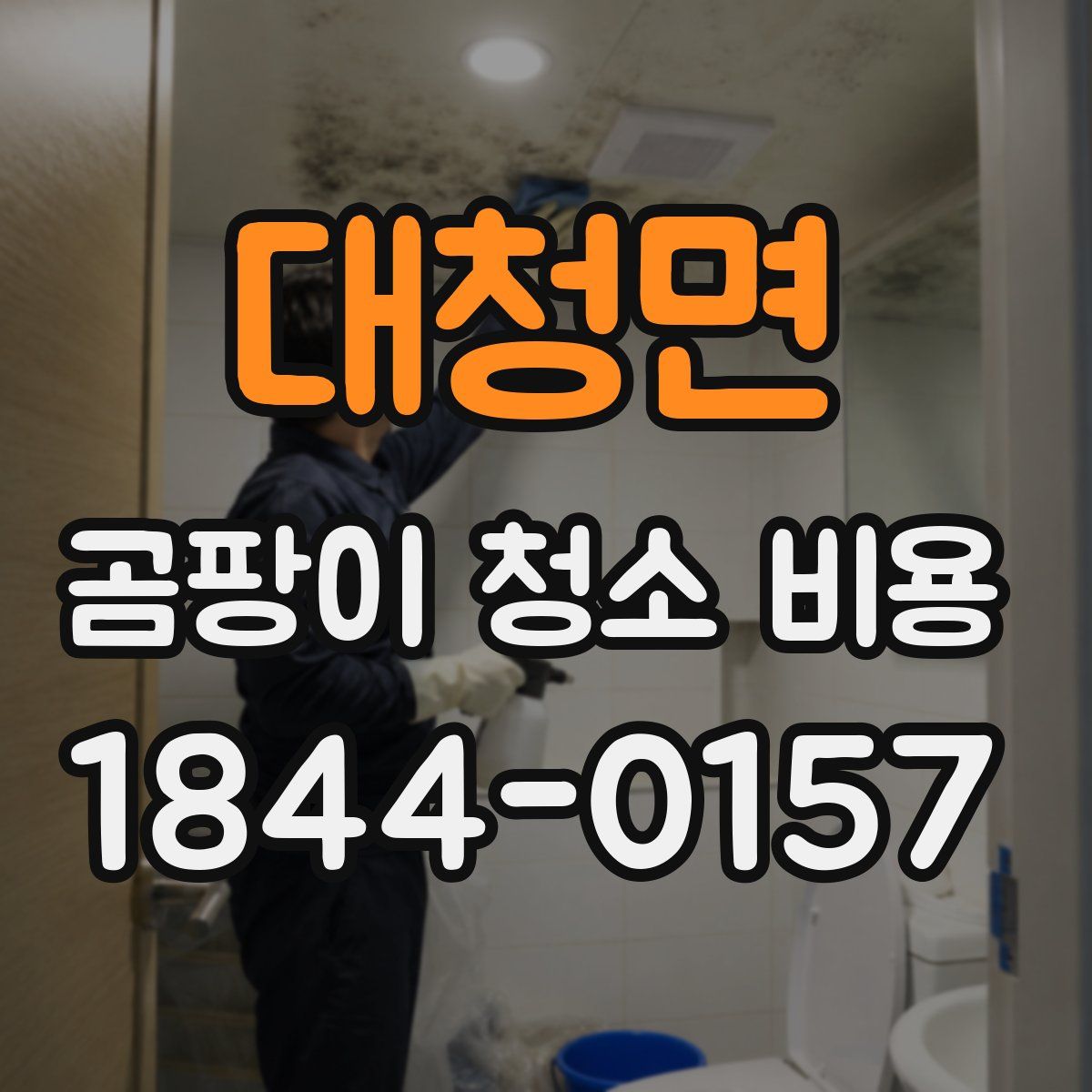 대청면 곰팡이 청소 비용