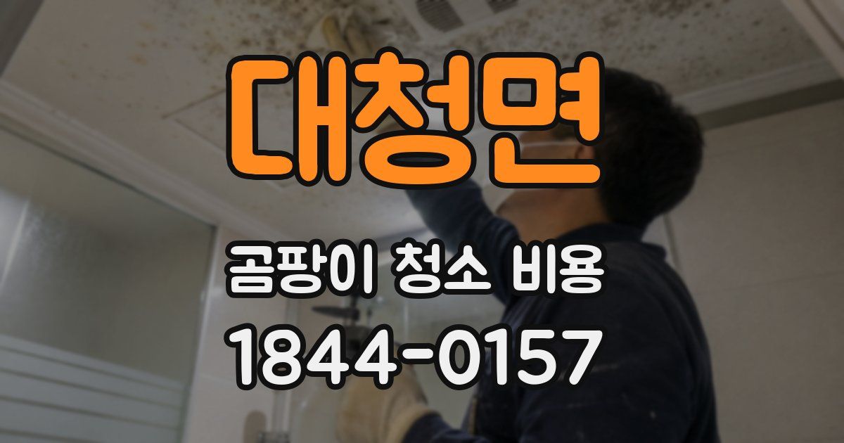 대청면 곰팡이 청소 비용