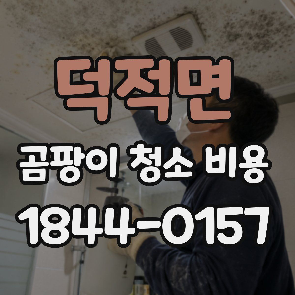 덕적면 곰팡이 청소 비용