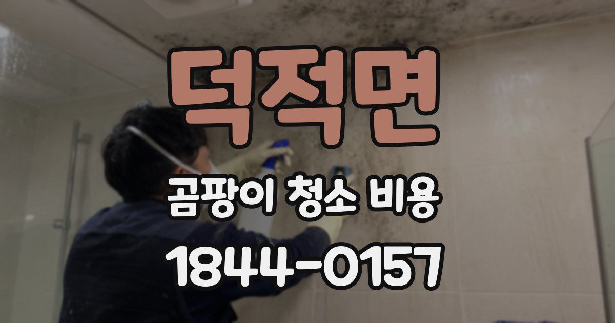 덕적면 곰팡이 청소 비용