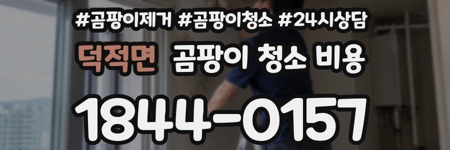 덕적면 곰팡이 청소 비용