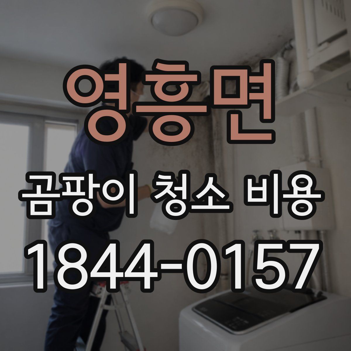 영흥면 곰팡이 청소 비용