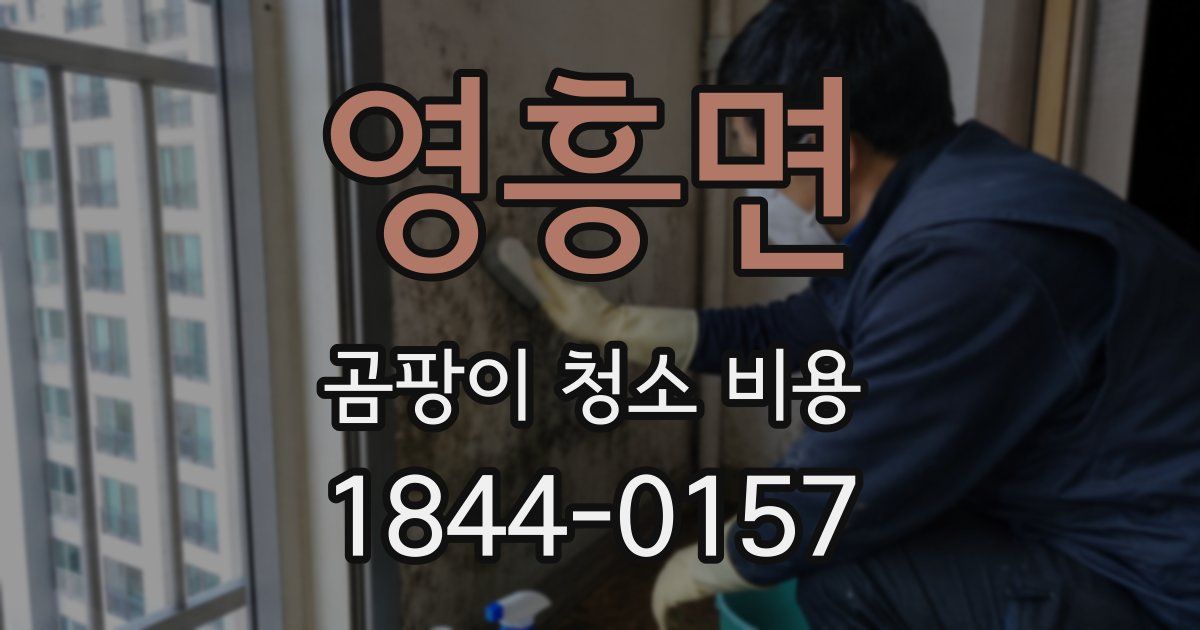 영흥면 곰팡이 청소 비용
