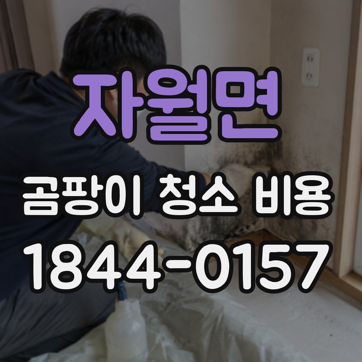 자월면 곰팡이 청소 비용