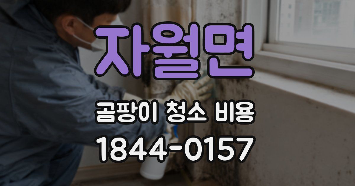 자월면 곰팡이 청소 비용