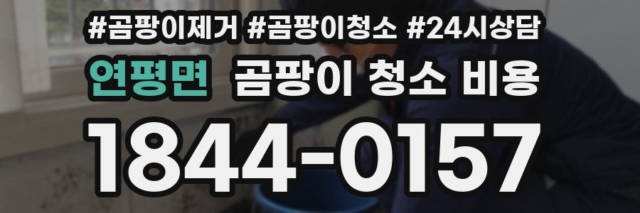 연평면 곰팡이 청소 비용