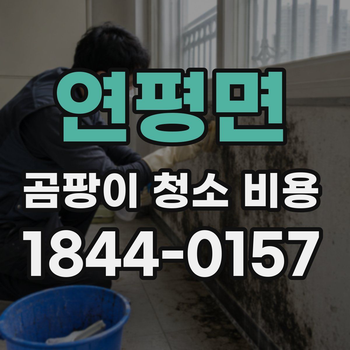 연평면 곰팡이 청소 비용