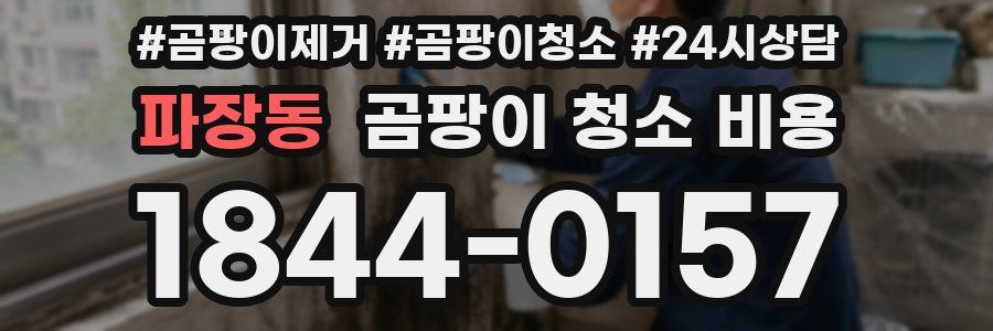 파장동 곰팡이 청소 비용