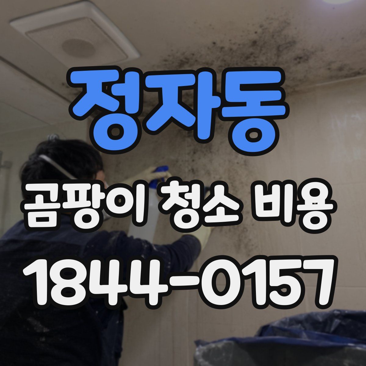 정자동 곰팡이 청소 비용