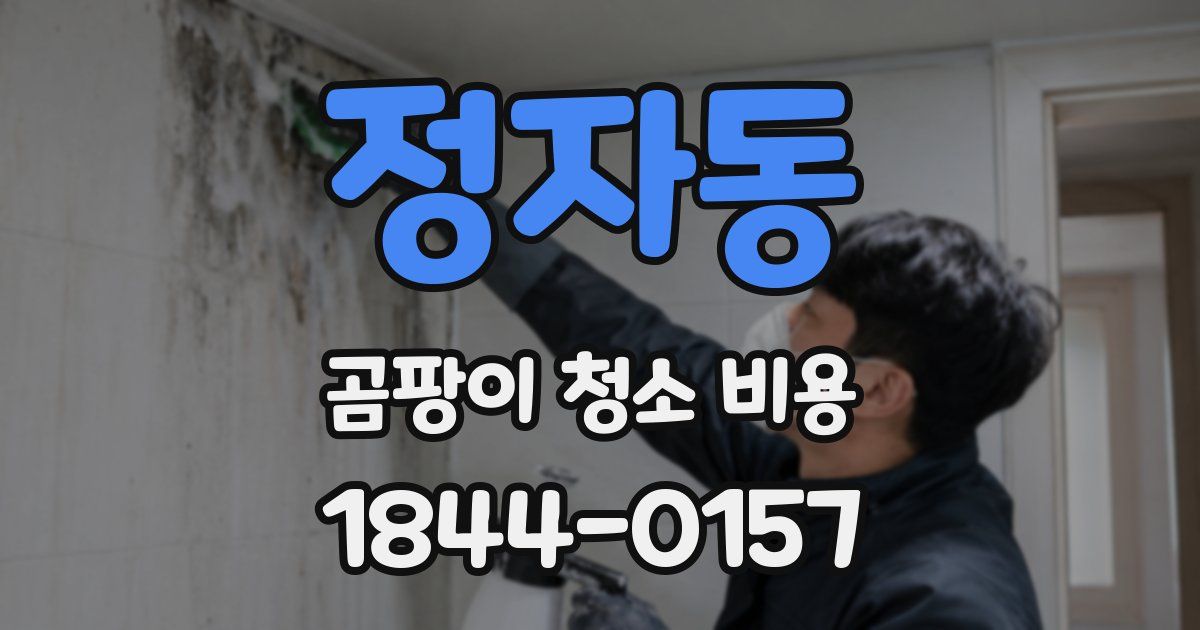 정자동 곰팡이 청소 비용