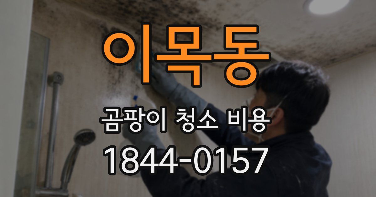 이목동 곰팡이 청소 비용
