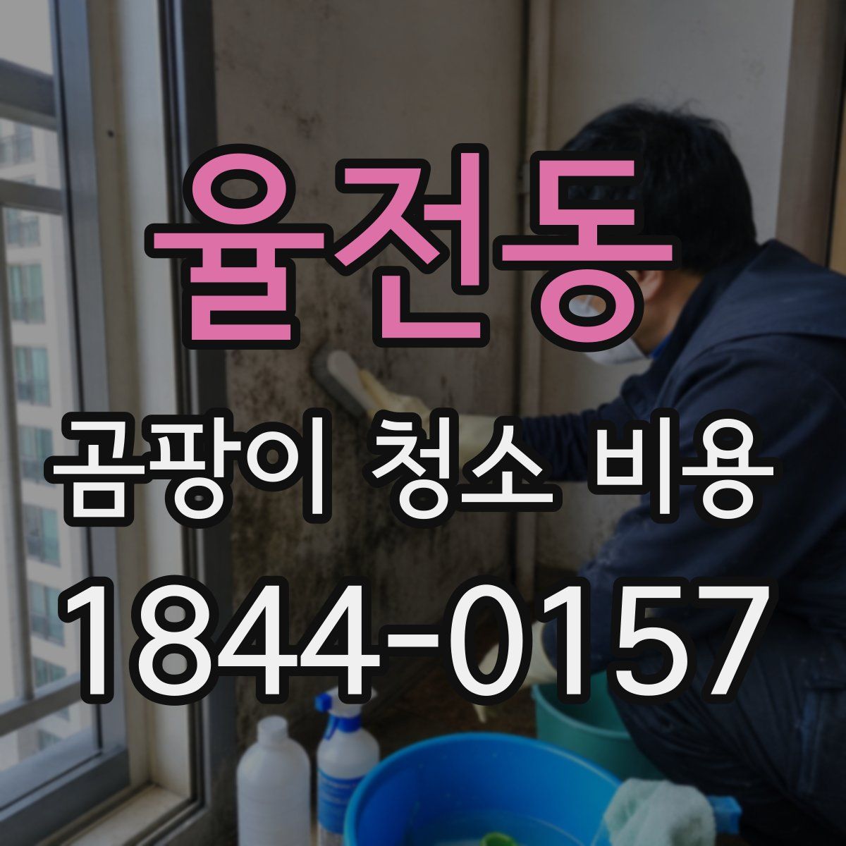 율전동 곰팡이 청소 비용