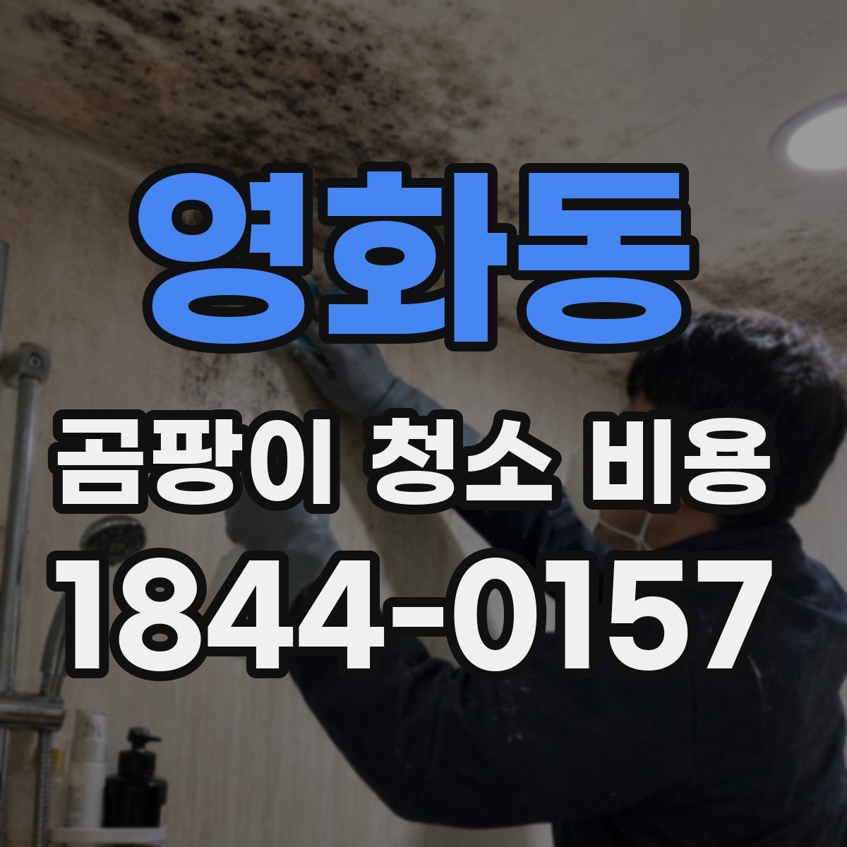 영화동 곰팡이 청소 비용