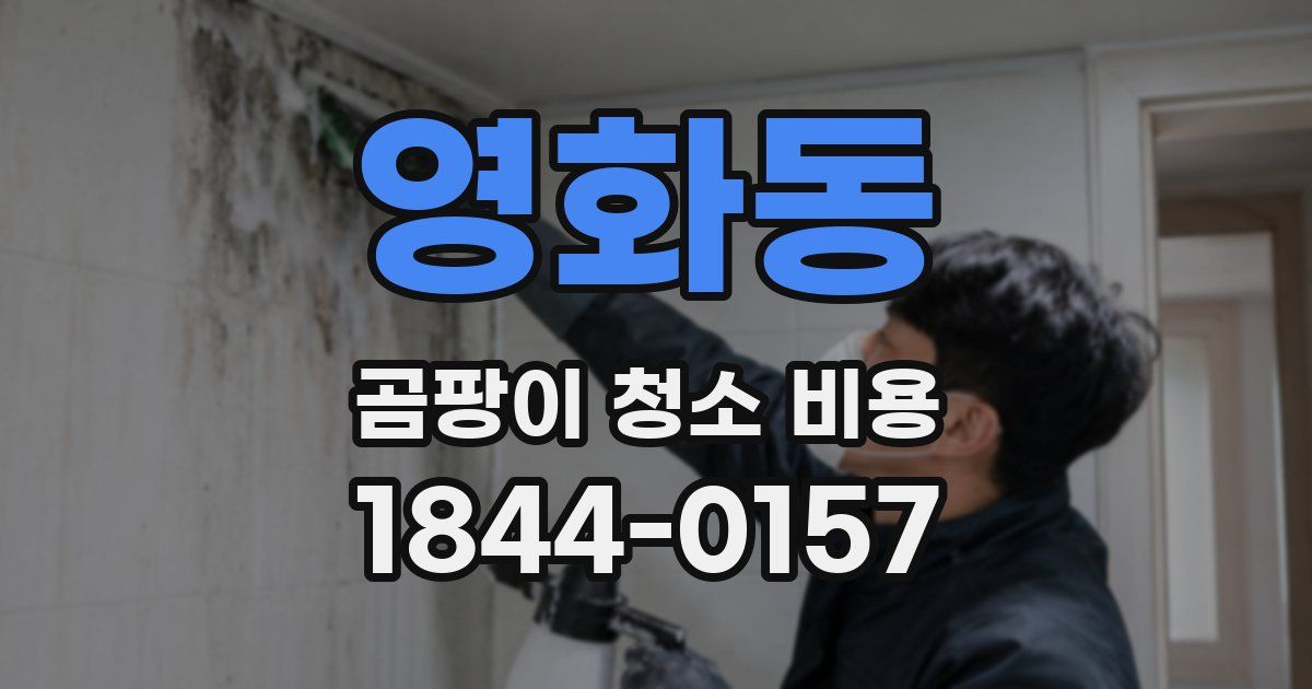 영화동 곰팡이 청소 비용