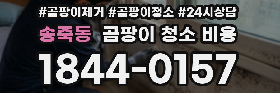 송죽동 곰팡이 청소 비용