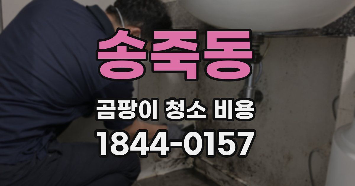 송죽동 곰팡이 청소 비용