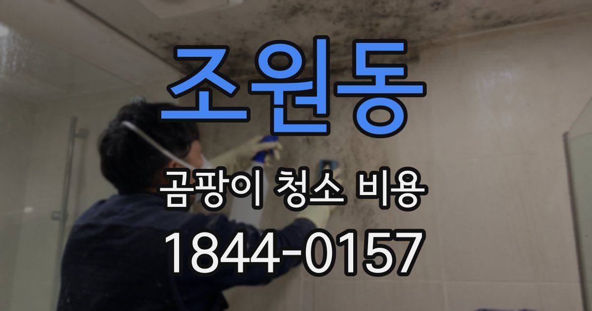 조원동 곰팡이 청소 비용