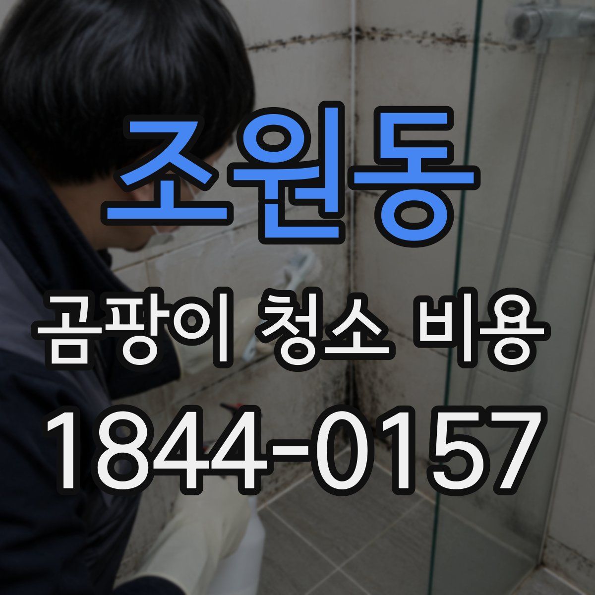 조원동 곰팡이 청소 비용
