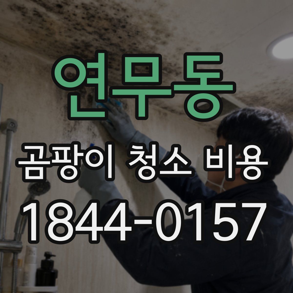 연무동 곰팡이 청소 비용