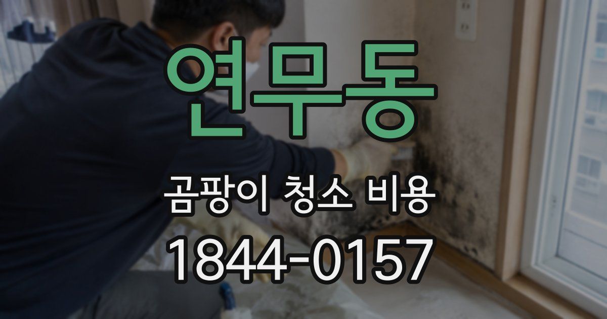 연무동 곰팡이 청소 비용