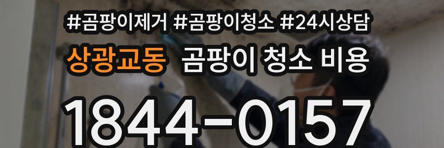 상광교동 곰팡이 청소 비용
