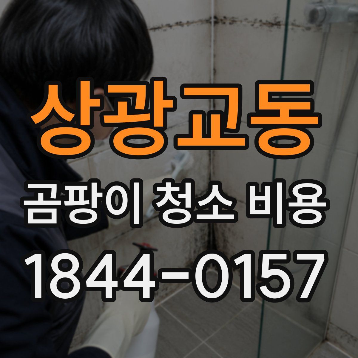 상광교동 곰팡이 청소 비용