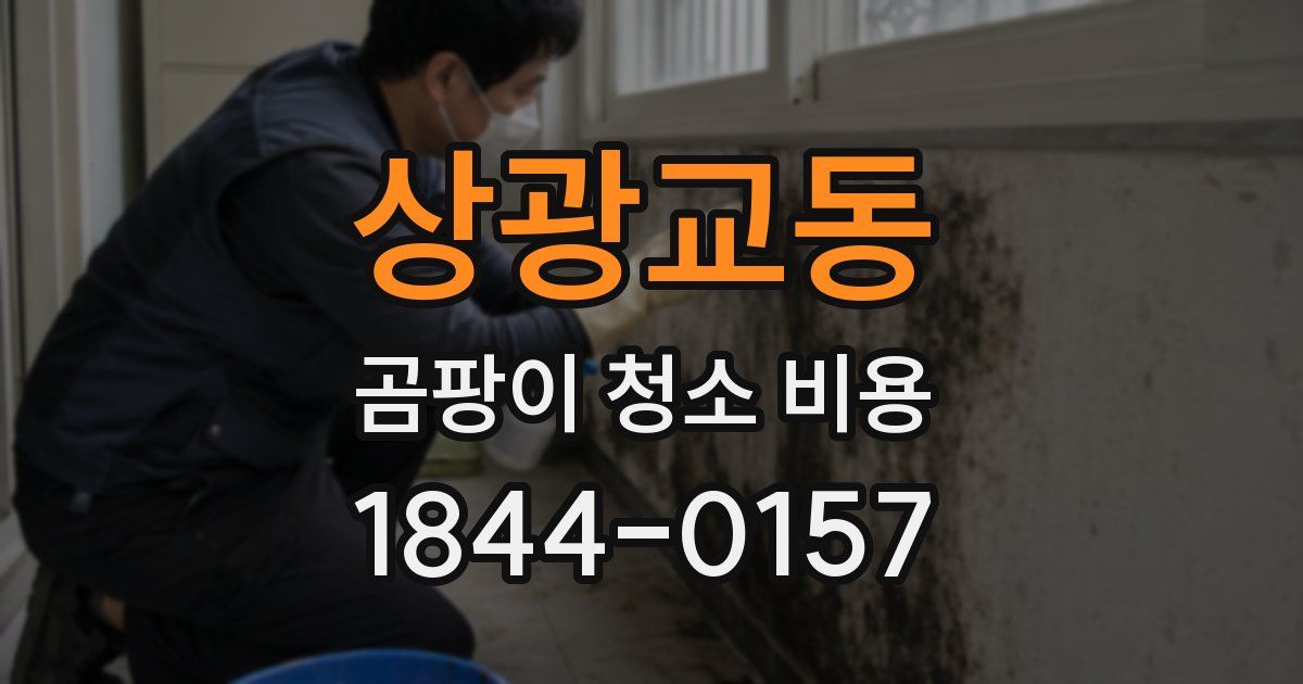 상광교동 곰팡이 청소 비용