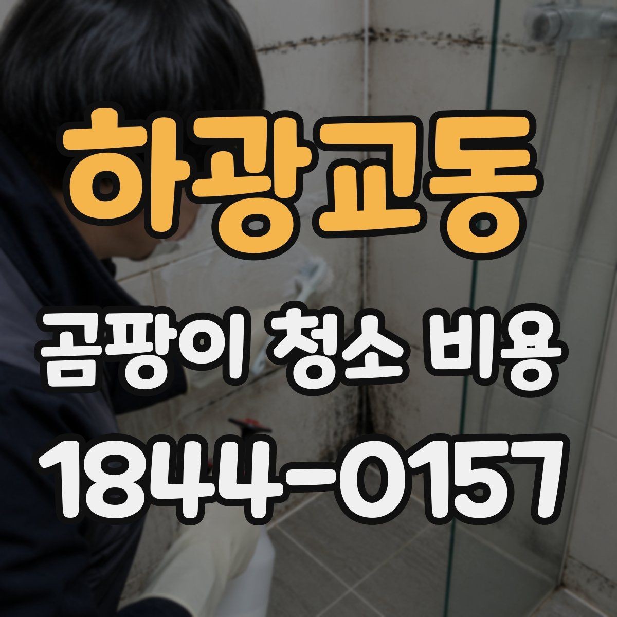 하광교동 곰팡이 청소 비용 천장 번짐과 창틀 오염을 구분하는 법