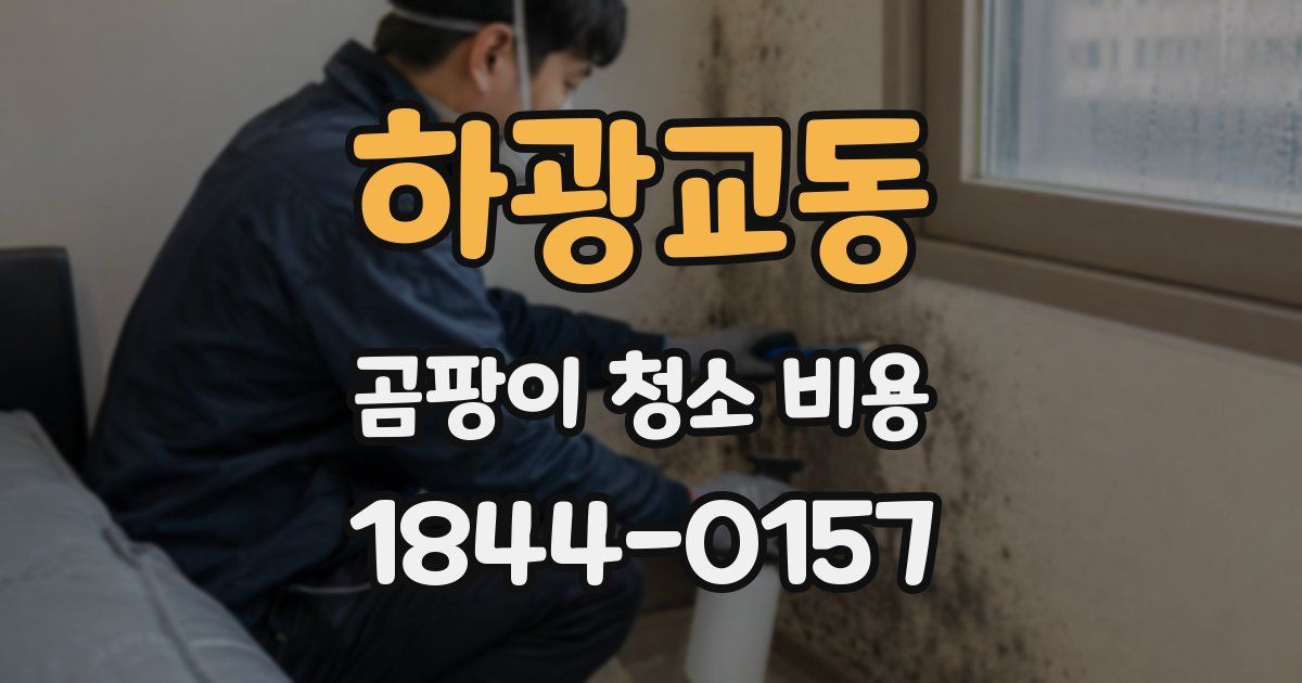 하광교동 곰팡이 청소 비용