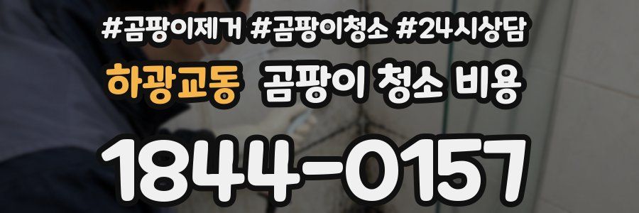 하광교동 곰팡이 청소 비용