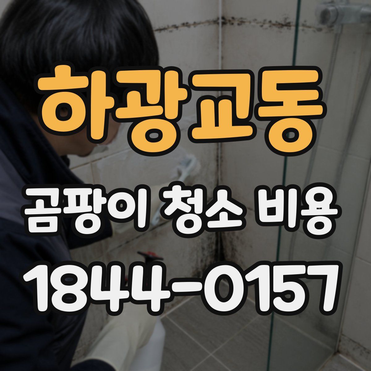 하광교동 곰팡이 청소 비용