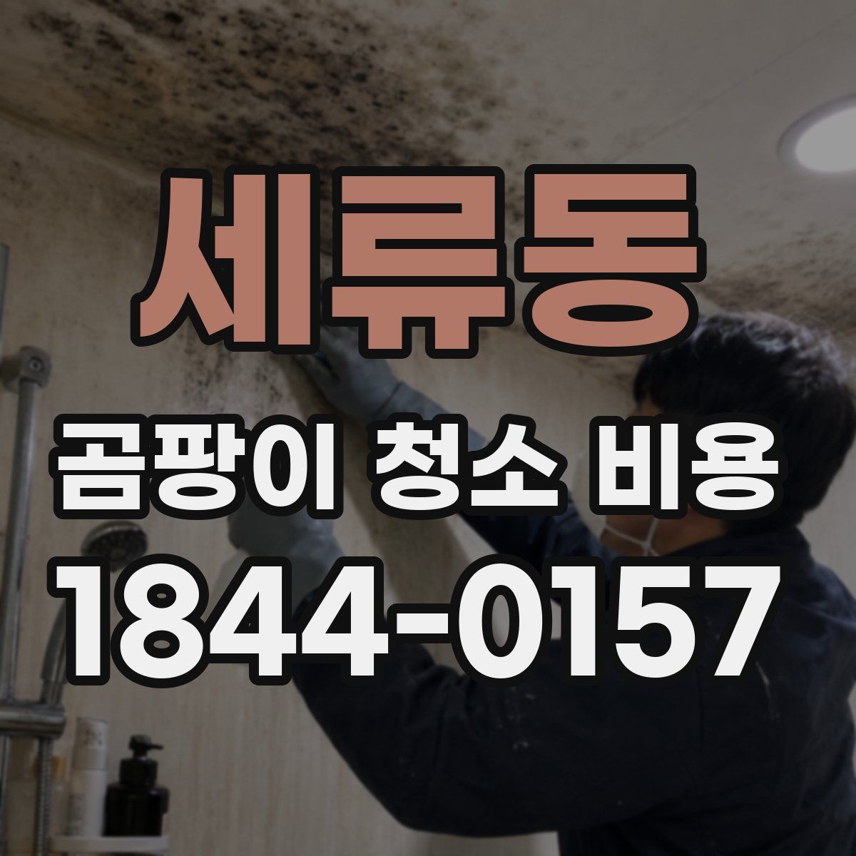 세류동 곰팡이 청소 비용