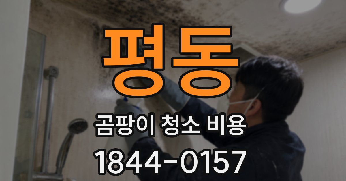 평동 곰팡이 청소 비용