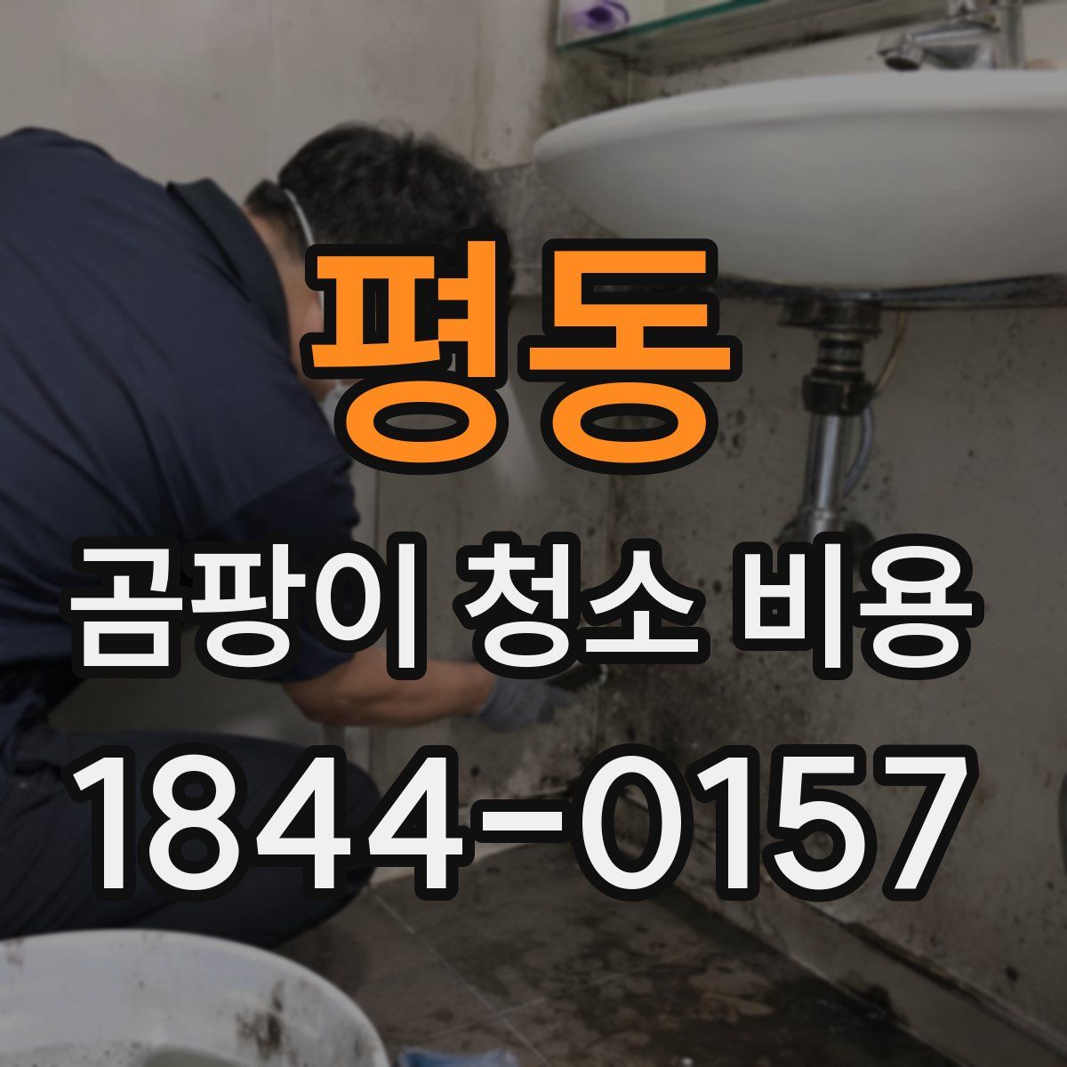평동 곰팡이 청소 비용