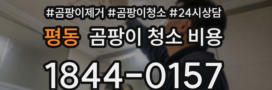 평동 곰팡이 청소 비용