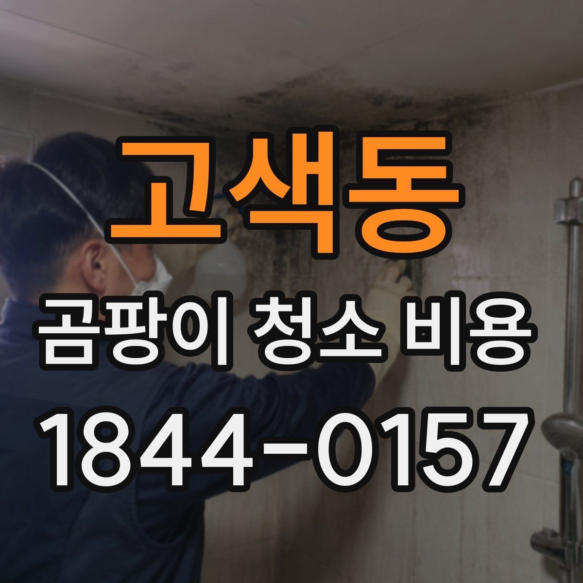 고색동 곰팡이 청소 비용 천장 번짐과 창틀 오염을 구분하는 법