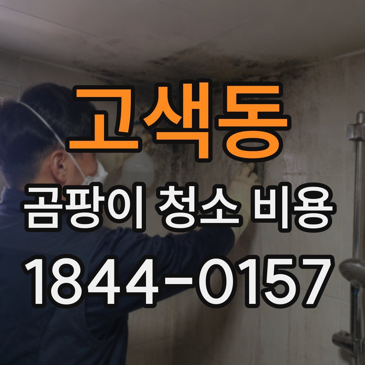 고색동 곰팡이 청소 비용