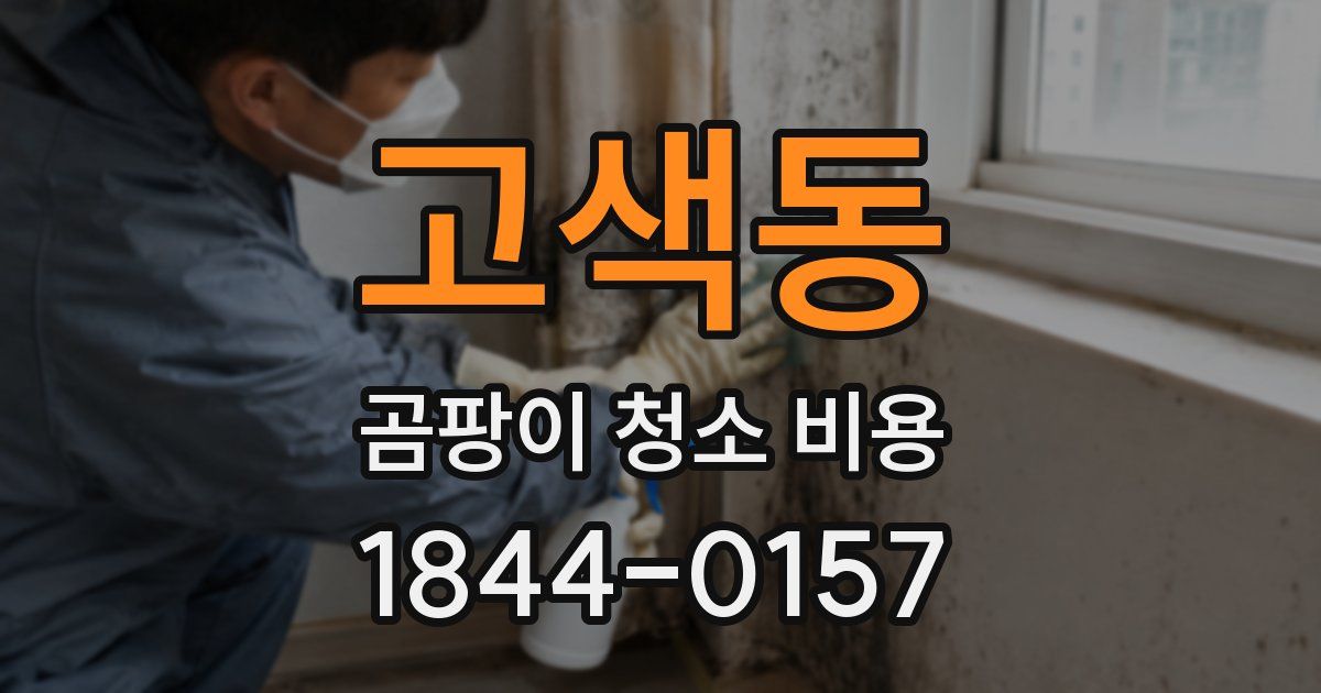 고색동 곰팡이 청소 비용