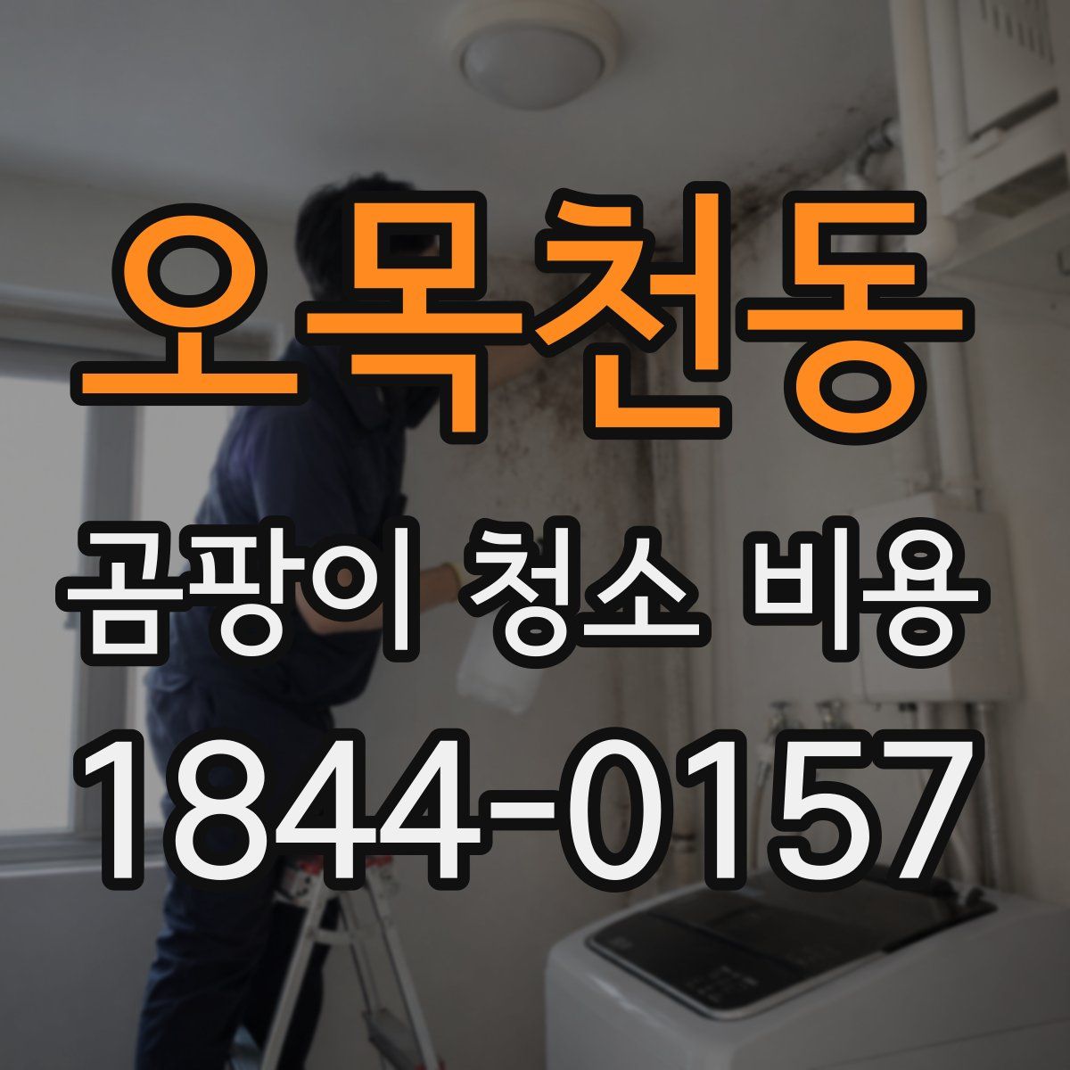 오목천동 곰팡이 청소 비용
