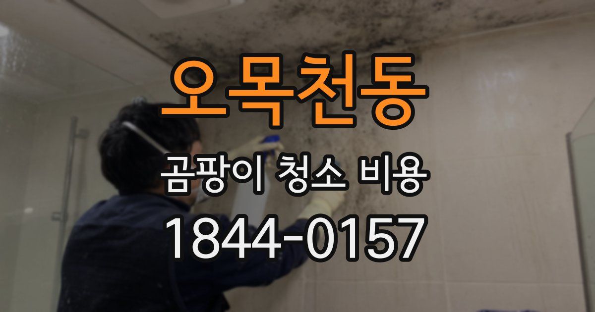 오목천동 곰팡이 청소 비용